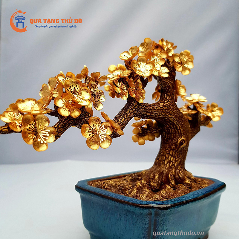 cây mai để bàn thế Bonsai được mạ vàng 24k